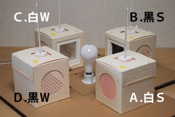 箱模型実験